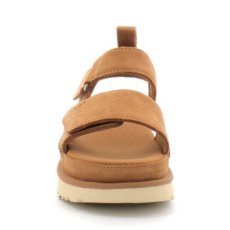 Goldenstar chestnut 1136783-che