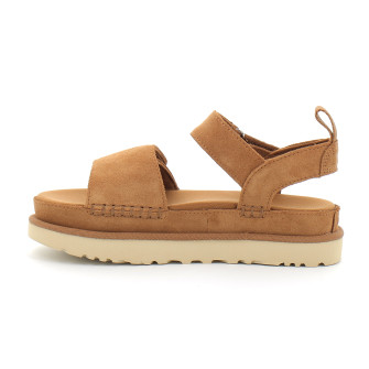 Goldenstar chestnut 1136783-che