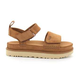 Goldenstar chestnut 1136783-che