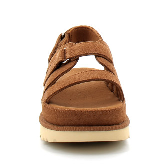 Goldenstar Gleam chestnut 1175122-che