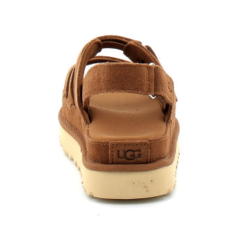 Goldenstar Gleam chestnut 1175122-che