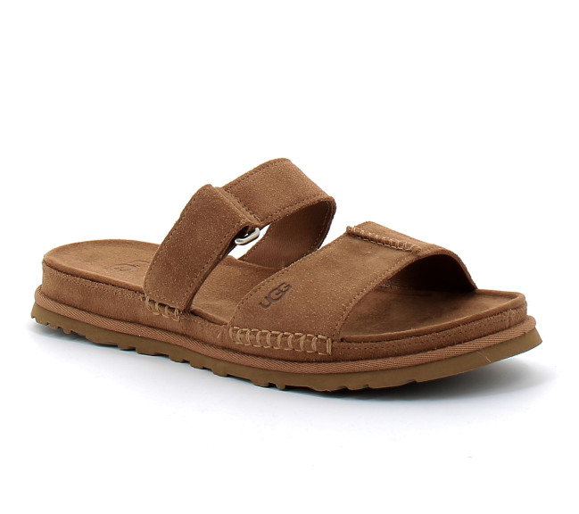 GoldenGaze chestnut 1178590-che