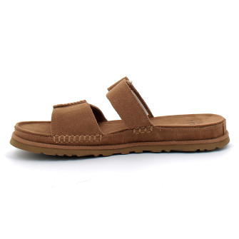 GoldenGaze chestnut 1178590-che