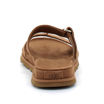 GoldenGaze chestnut 1178590-che