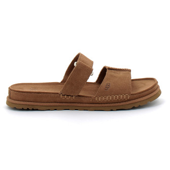 GoldenGaze chestnut 1178590-che