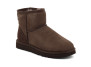 Botte Femme Classic Mini II dusted cocoa 1016222-ddc